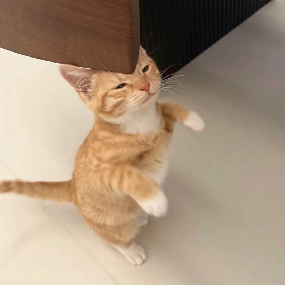 ᐝ