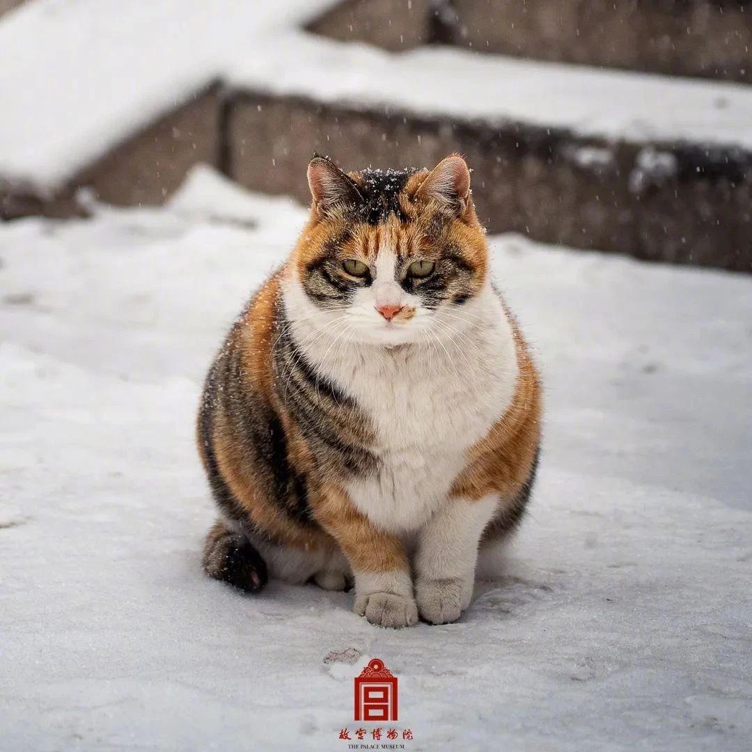 由由uu