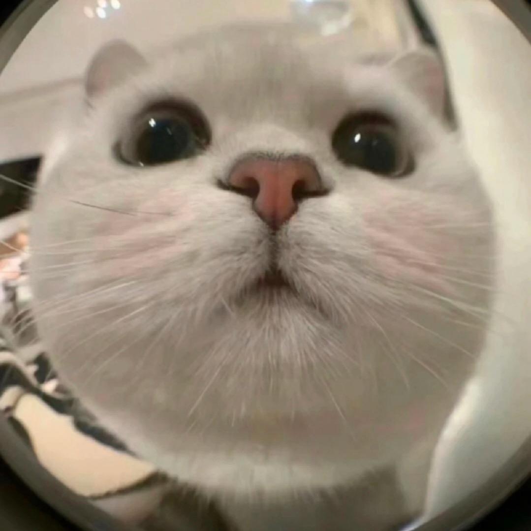 ^o^