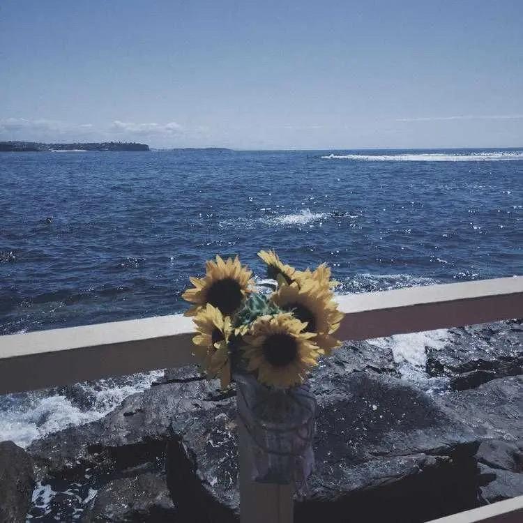 下次看海