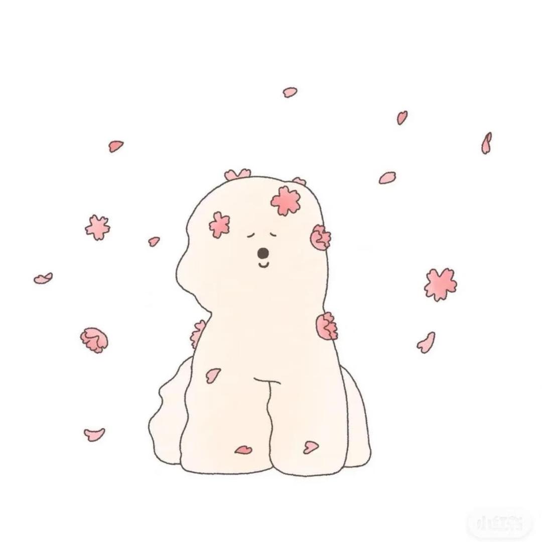 美鹅蛋