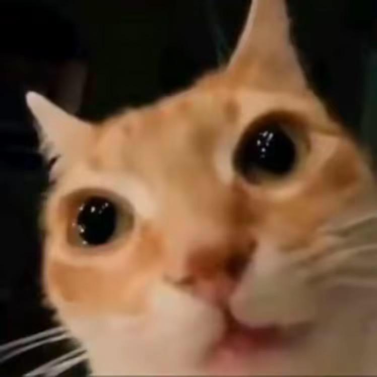 买辣椒也用券  .