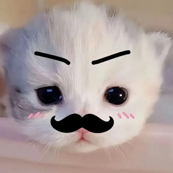 7 7