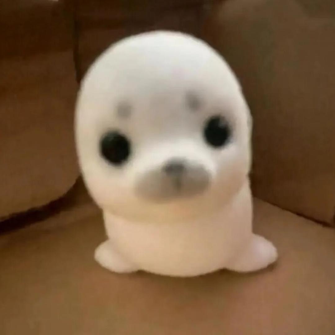 励志成为钉子户