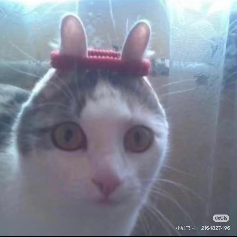 Selene🪄点点🪄seven