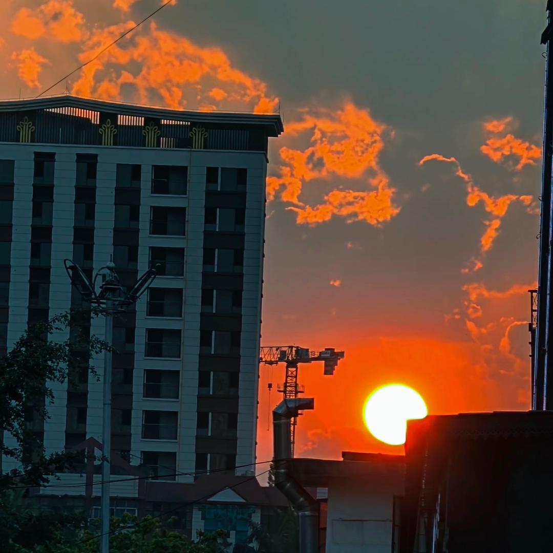 大头