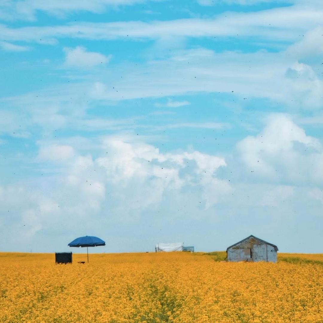 武威裕磊华生鲜优选
