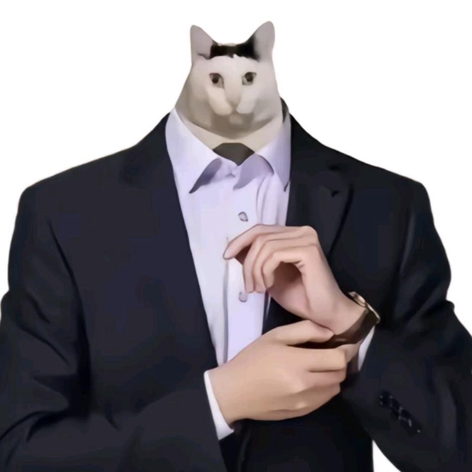 猫