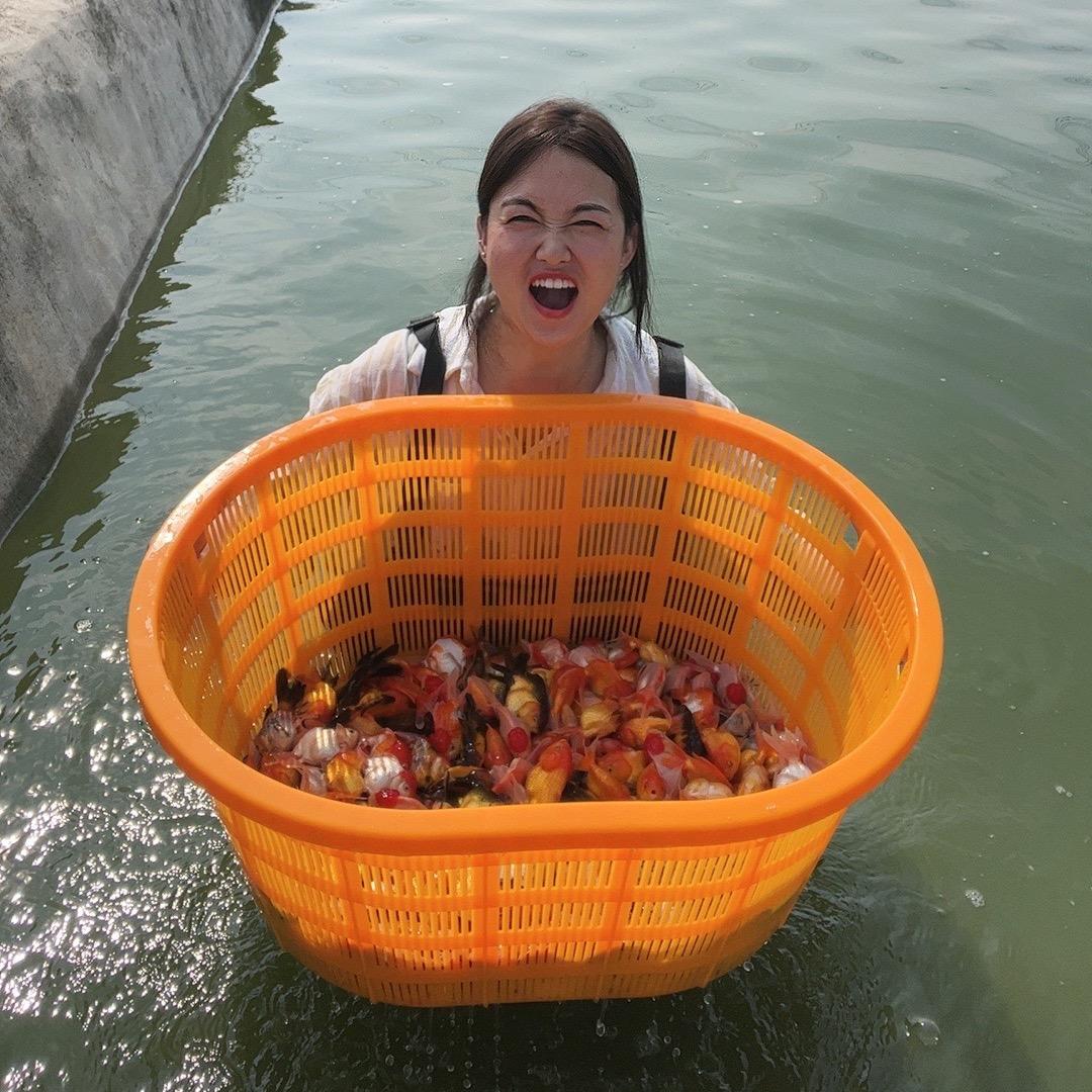 四嫂选好鱼