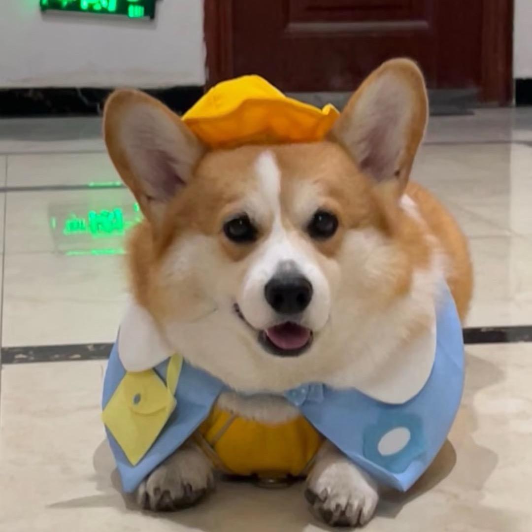 多肉