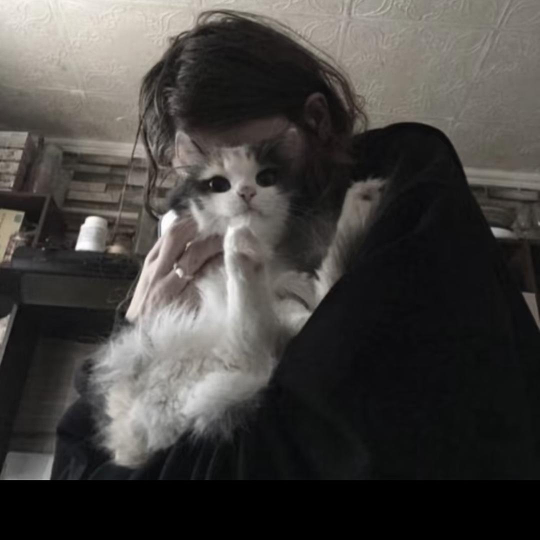 小雨转晴.😼