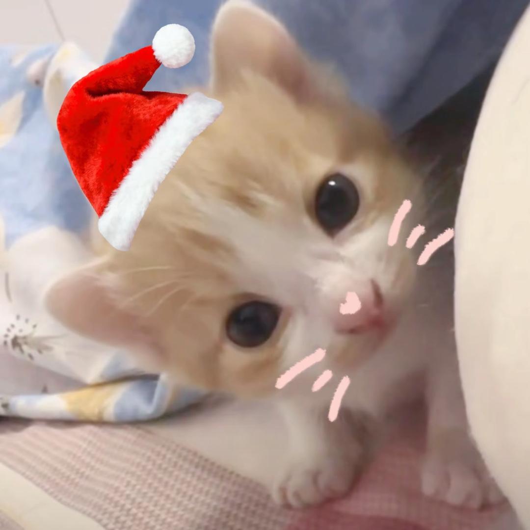 比眼泪更先出来的是鸭达