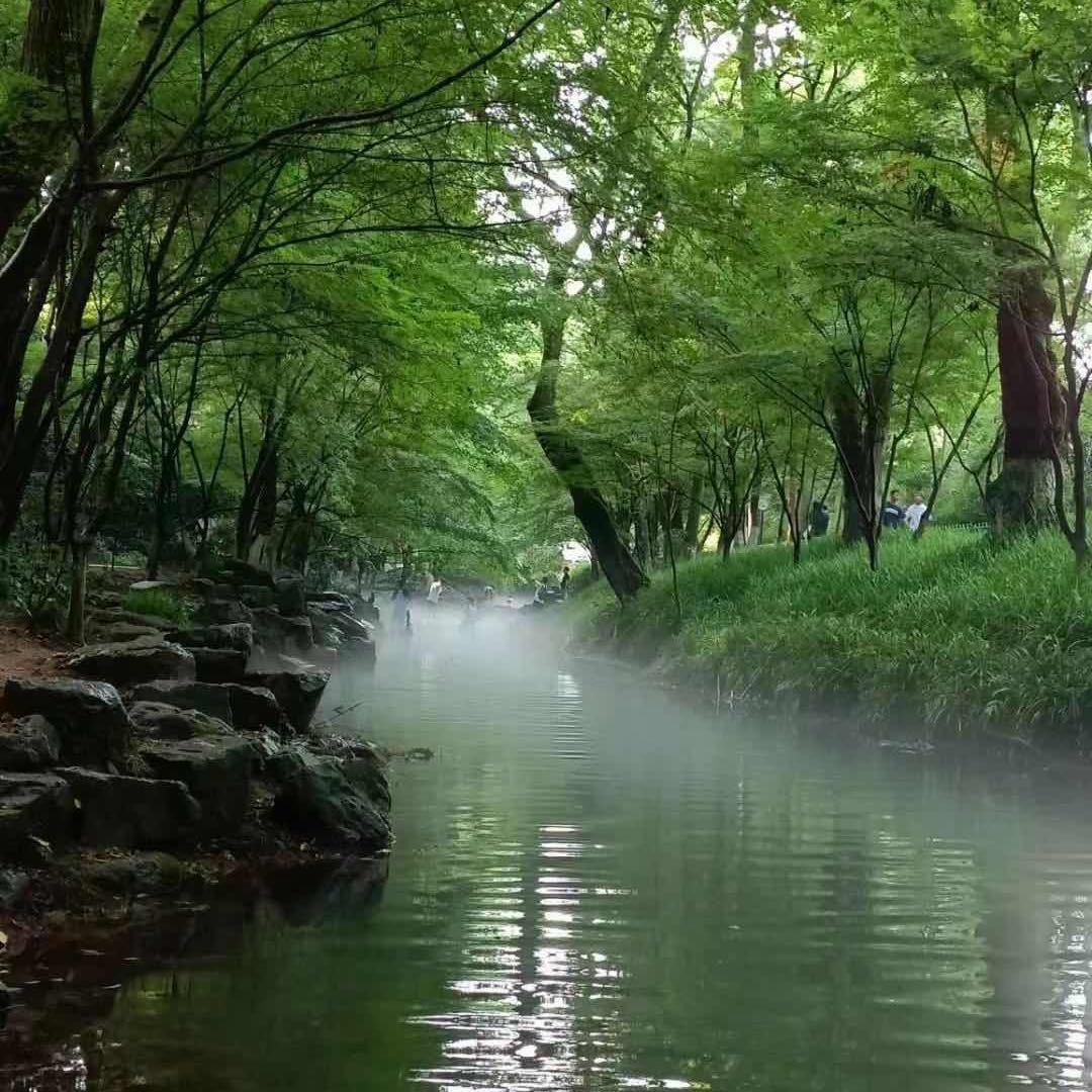 临澧农仓郑雅文