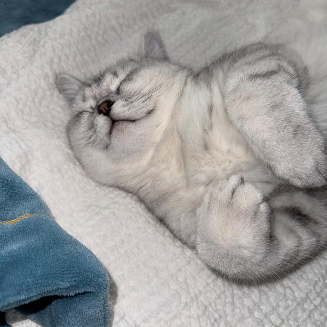 重生之兜里只剩俩钢镚