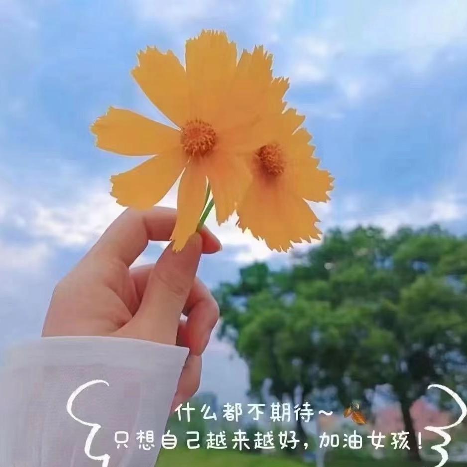 努力终会闪耀