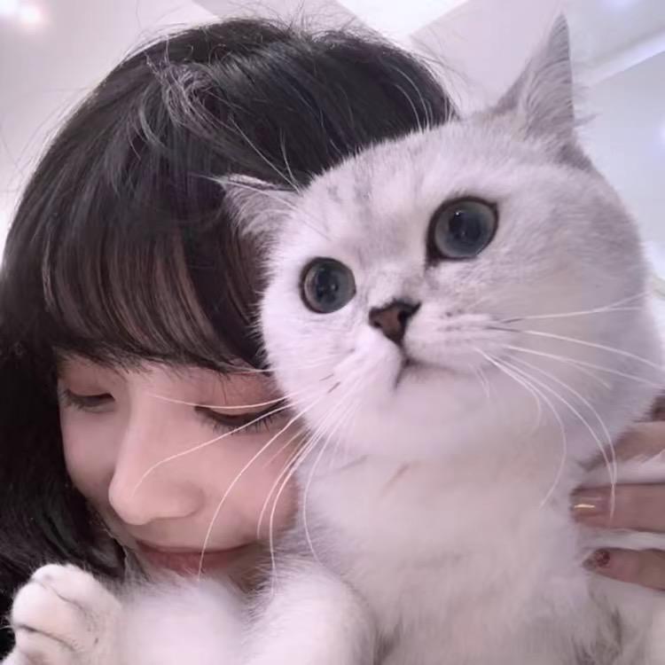 喵噗看剧