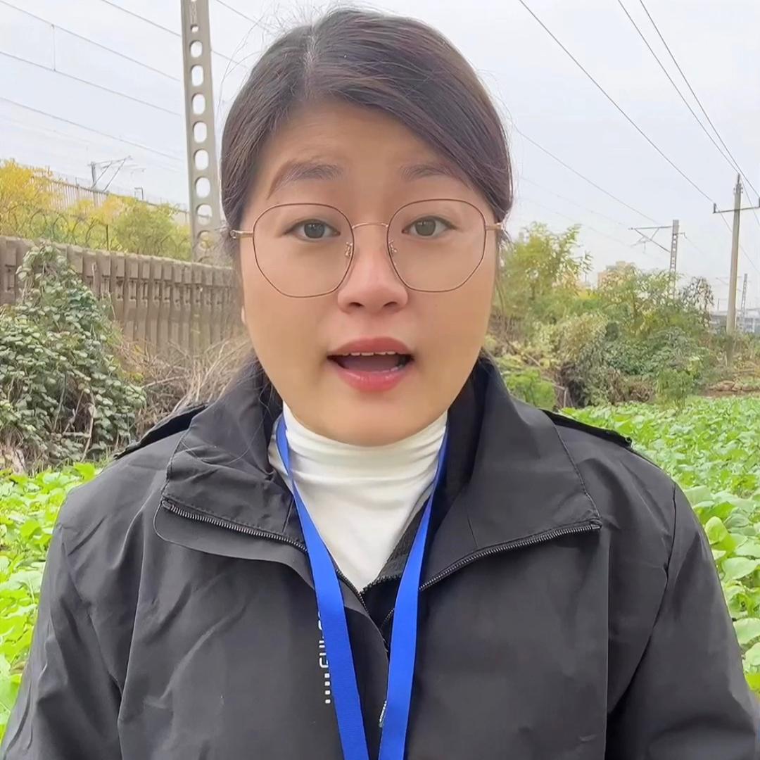 小鑫农业种植