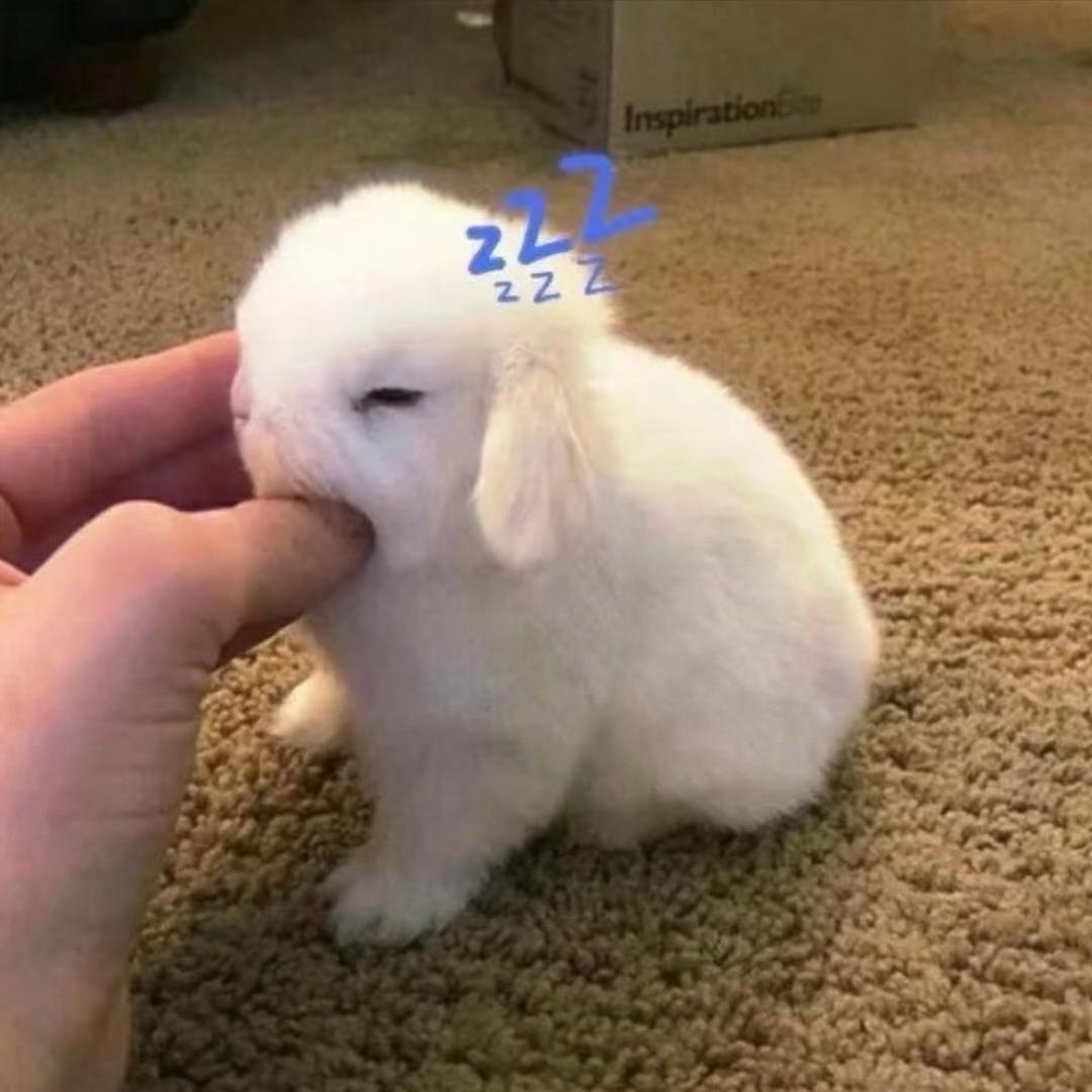 瞌睡虫