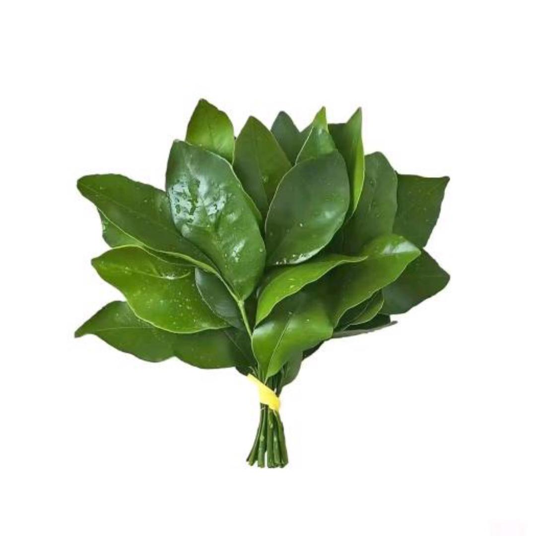 小语大王