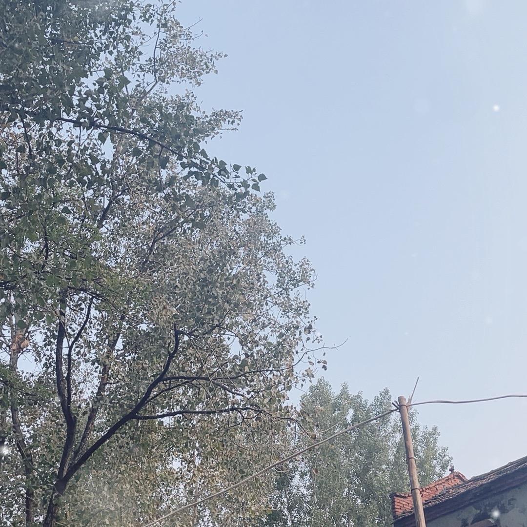 🍓🍇🍒🌽🥬🫑🍅🌈q7