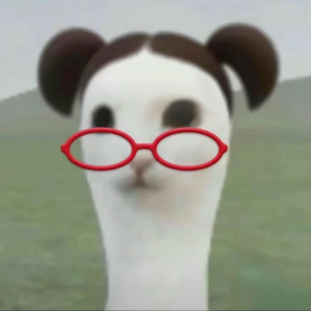 每天在想吃什么🍚