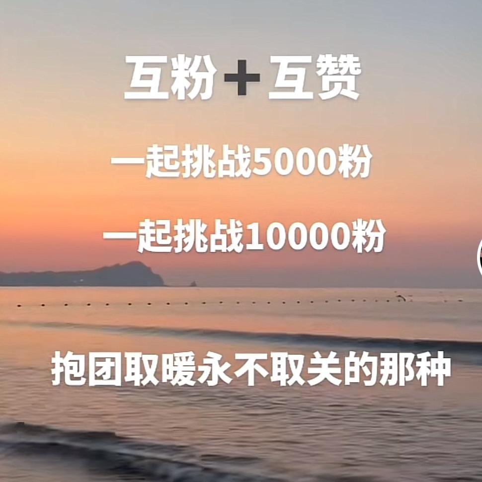 我是王不了