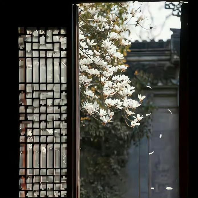 花开未名