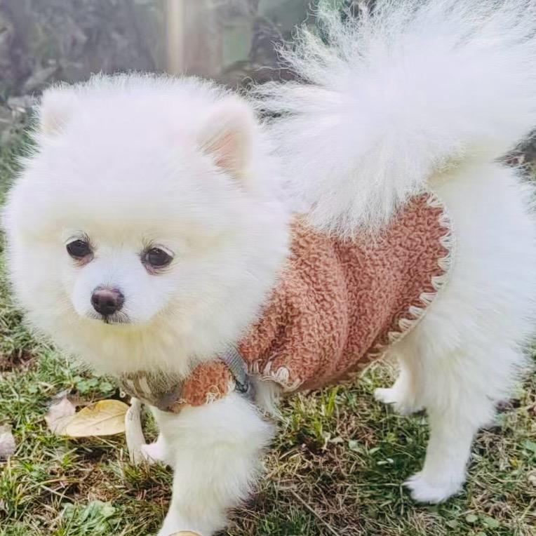 财来运转