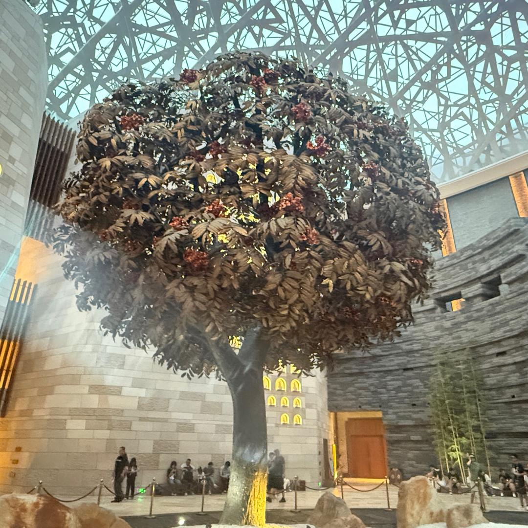 是琳琳呀🧀️✨❣️