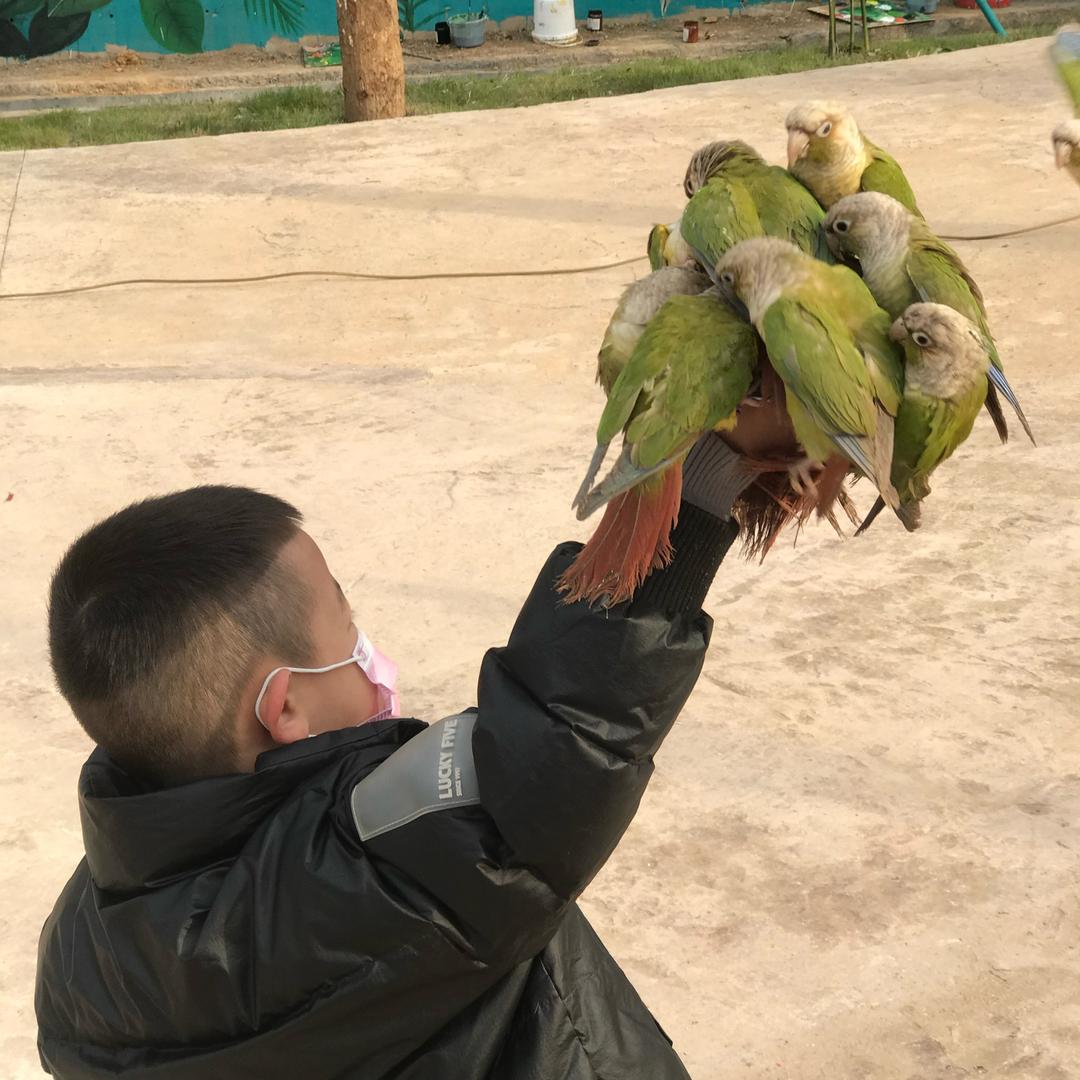 努力哥