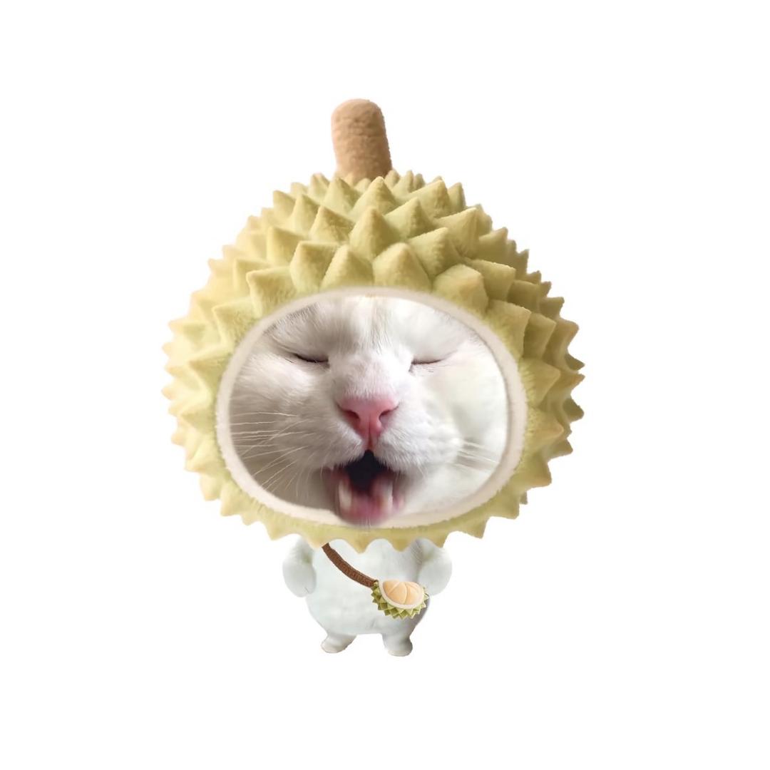 阿煦