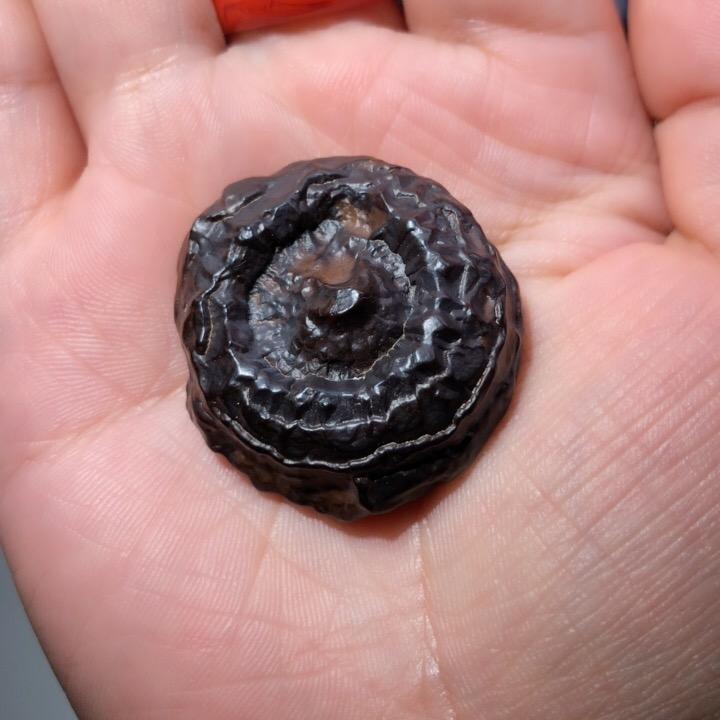 柒遇生花