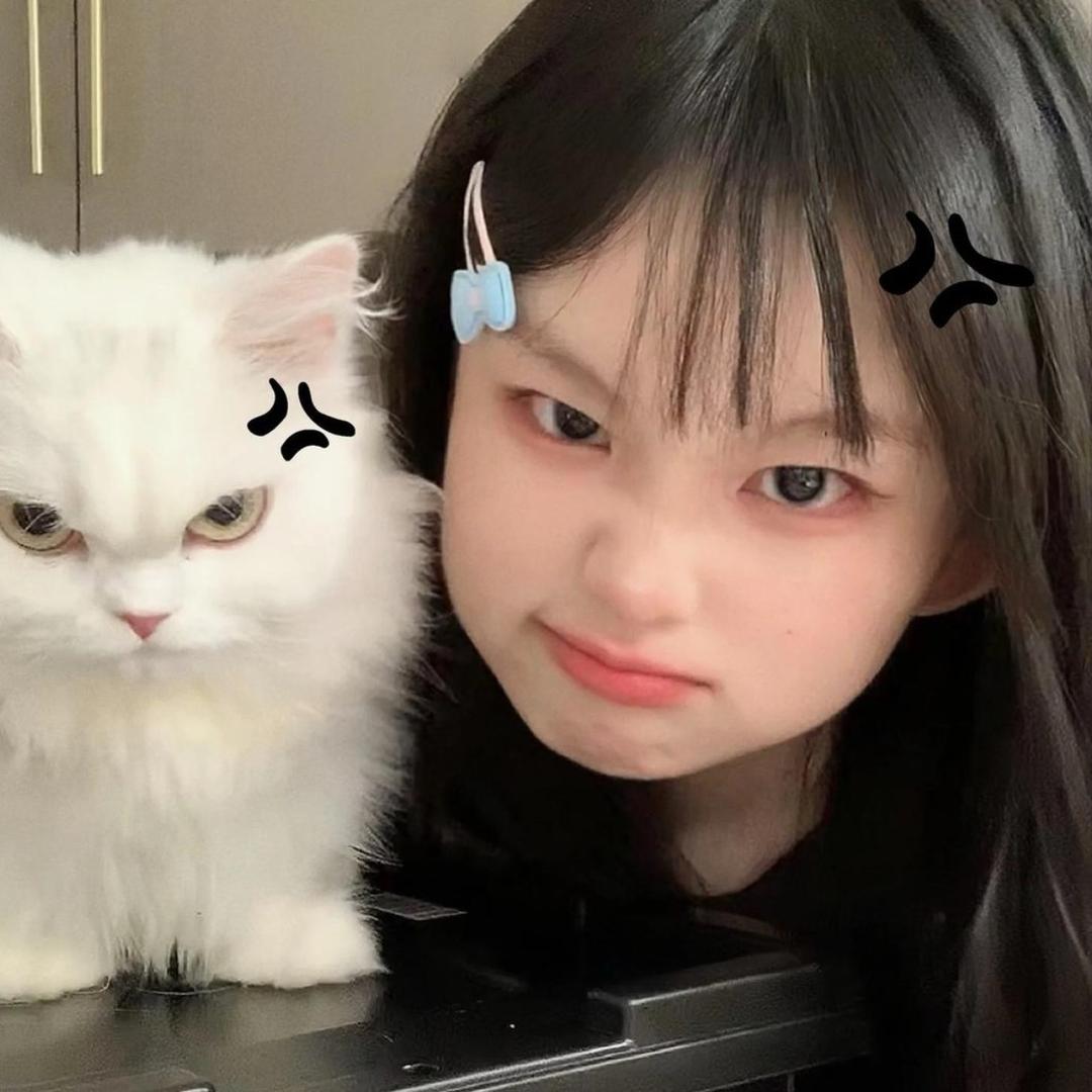 耀我宋人头迈！！