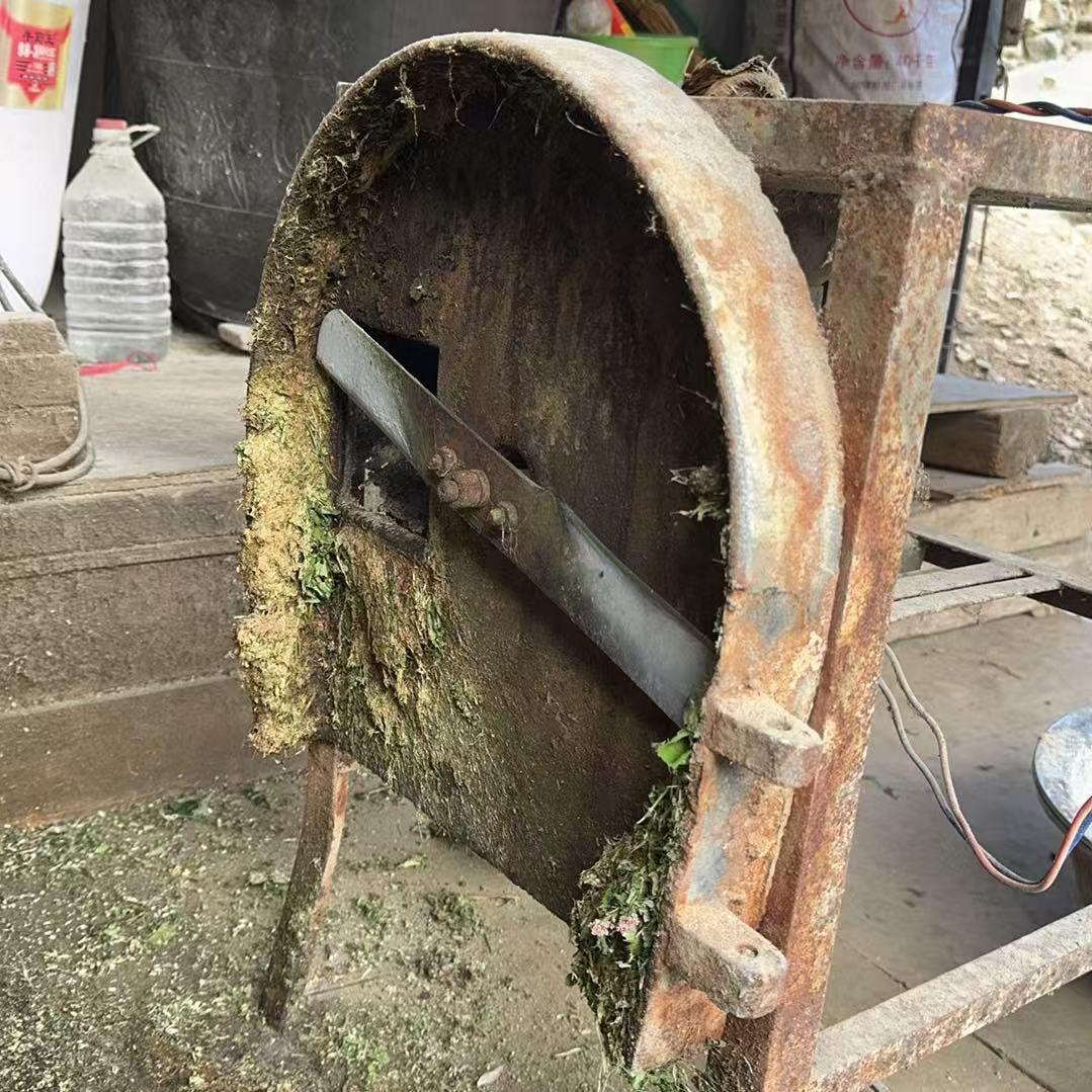 彩云之南