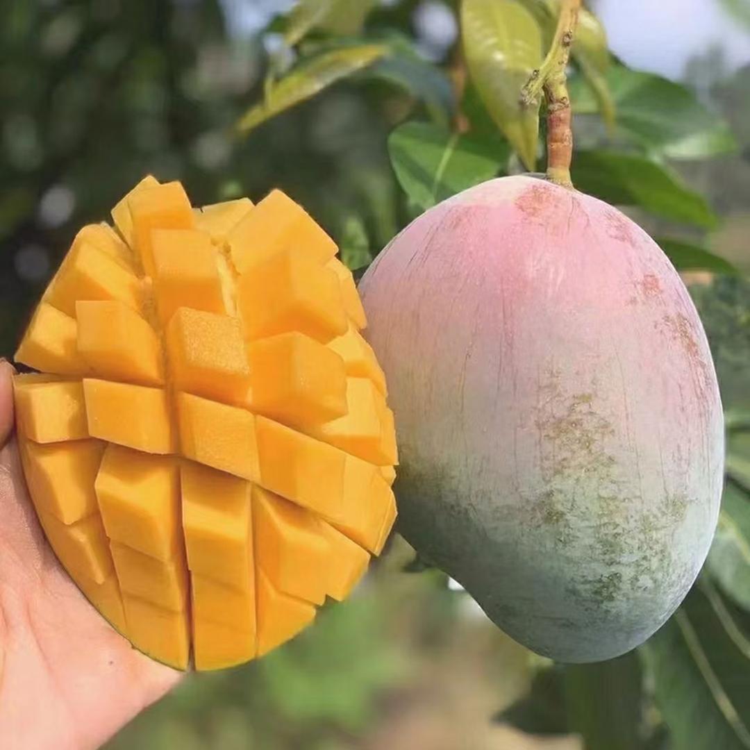 果味甜千味源