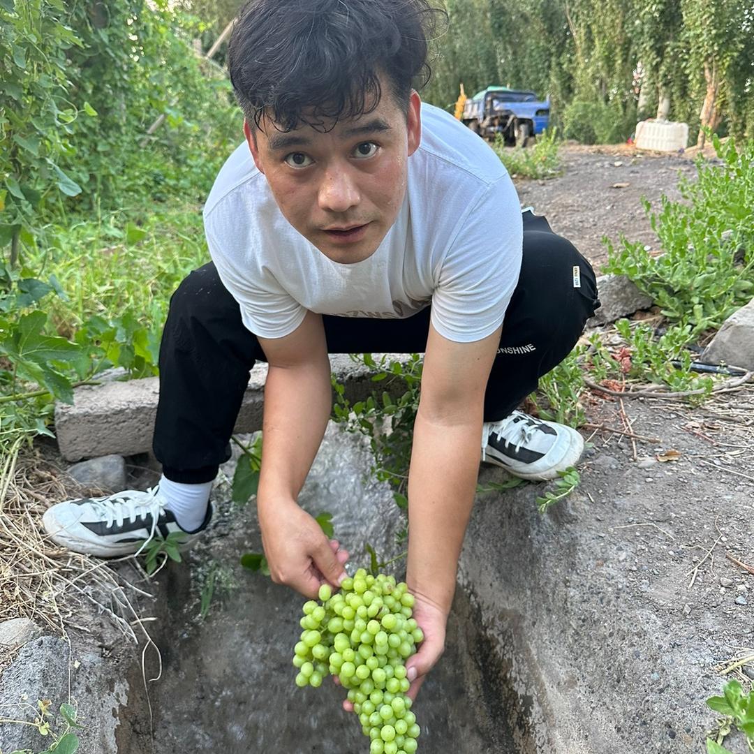 新疆战战