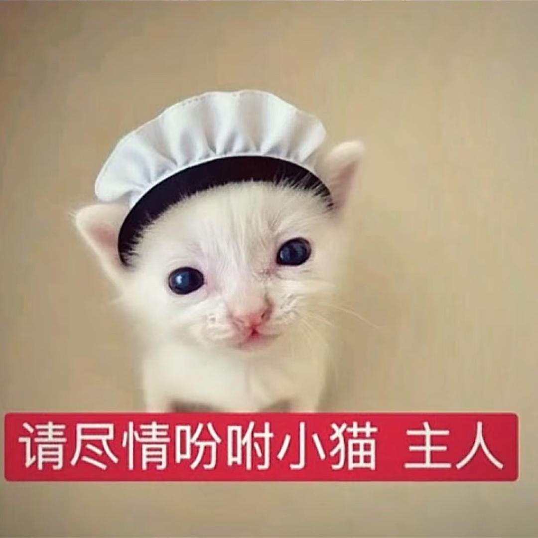 来财咪