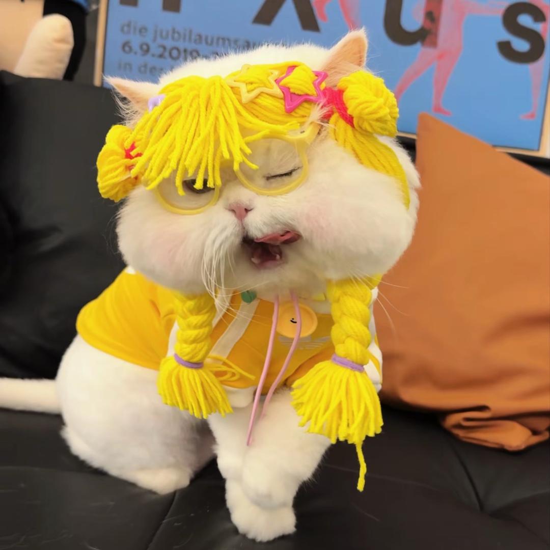 喵喵桑.