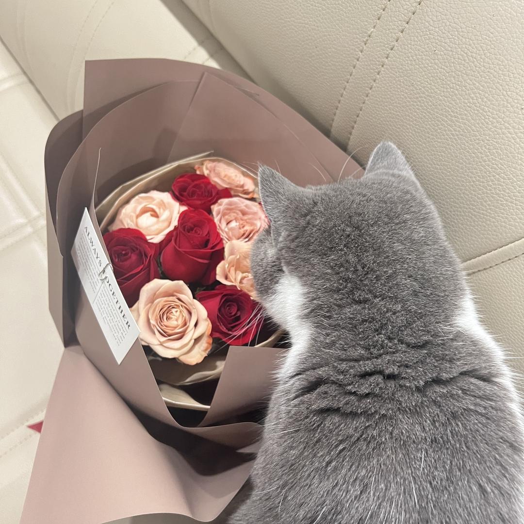 花囍鲜花绿植店