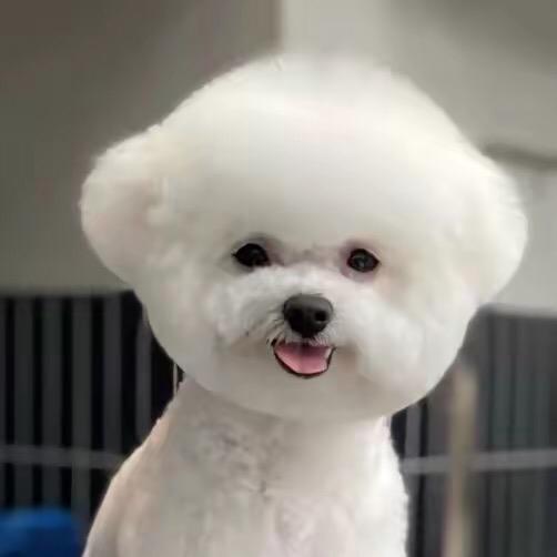 梅梅子兮