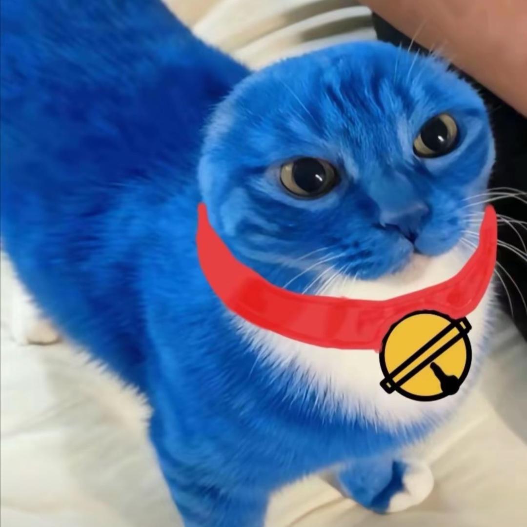 难言o