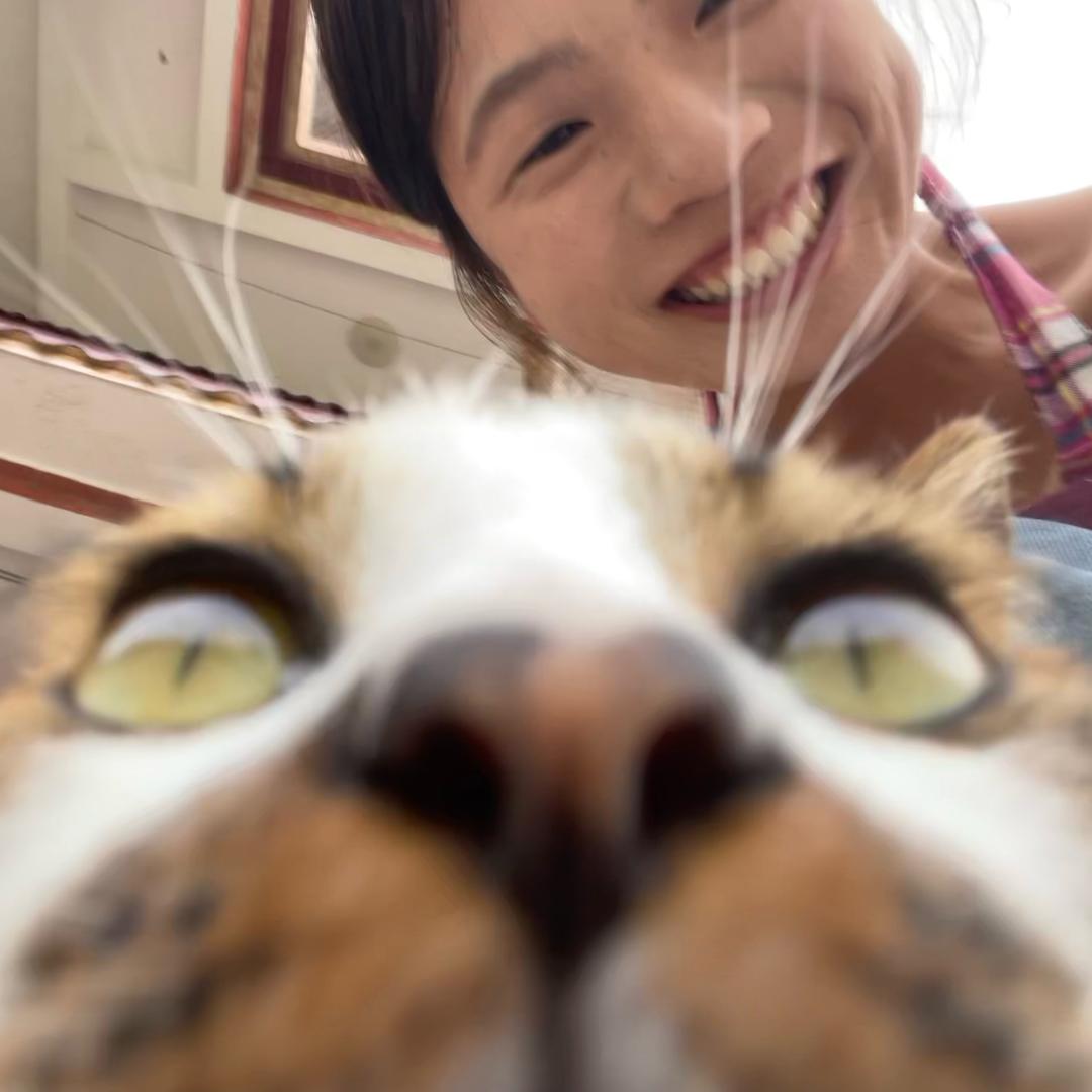 解个手