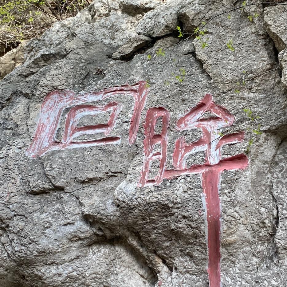 海棠依旧笑春风