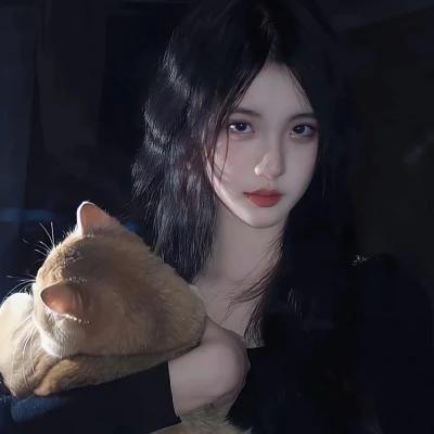 是秃子总会发光