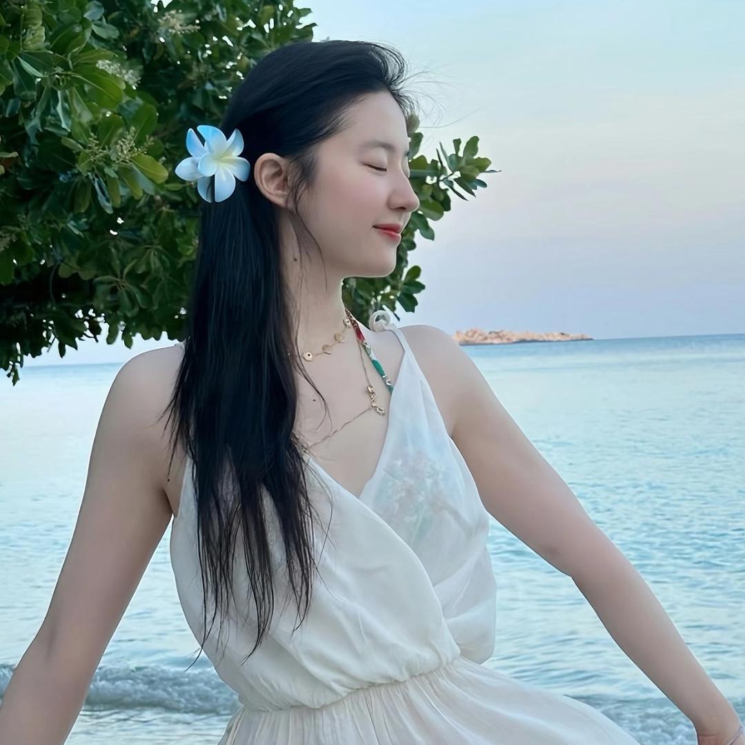 婉清.