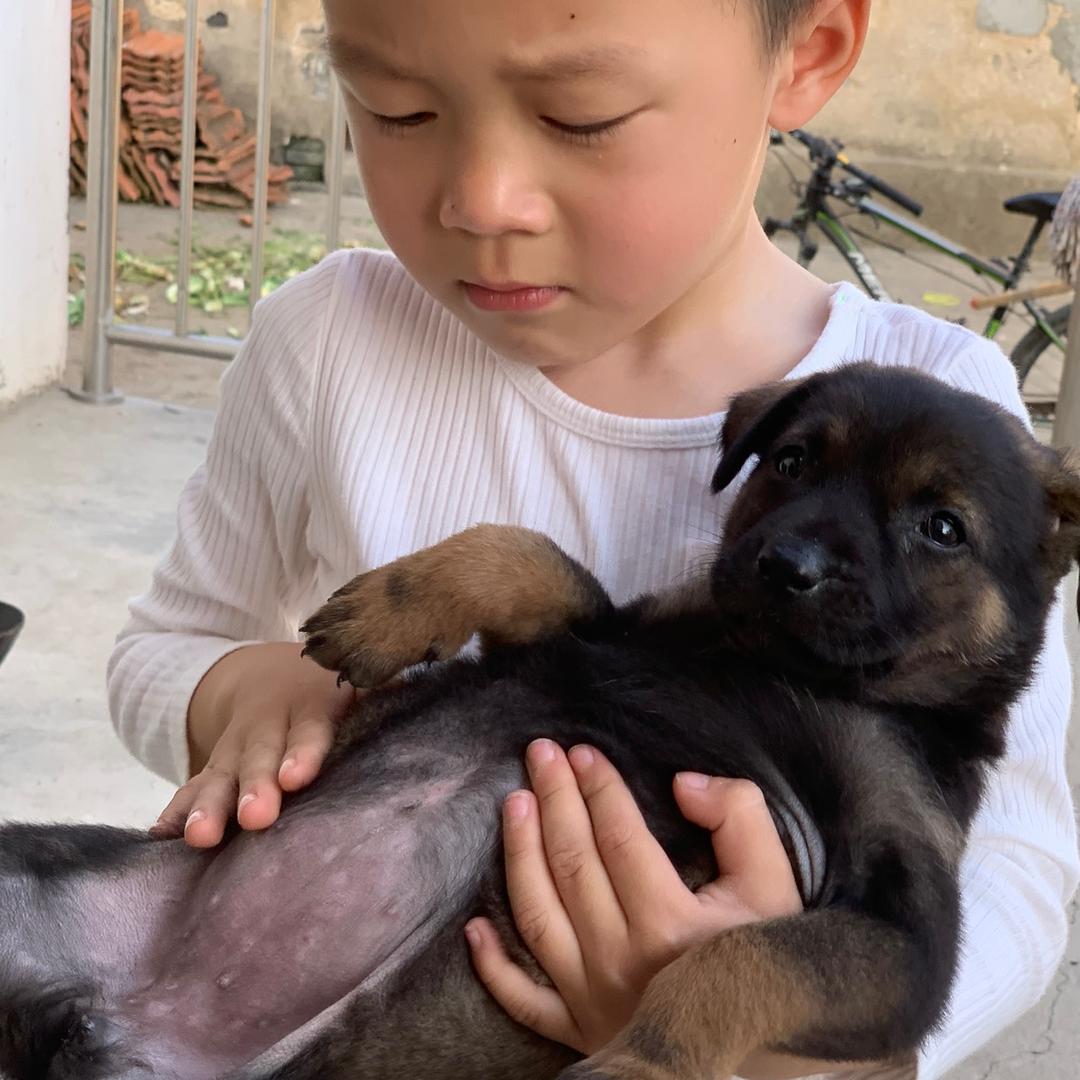小狗子