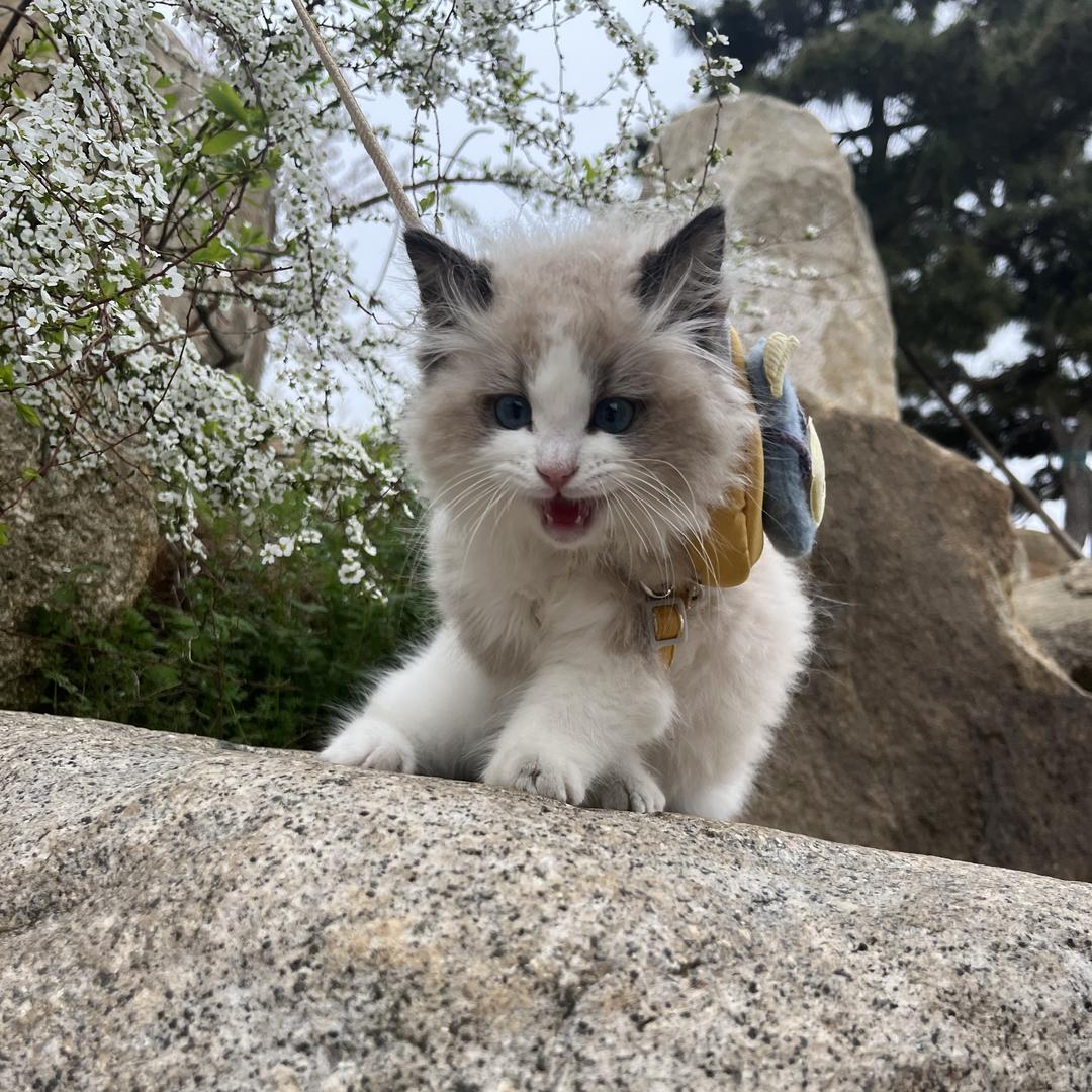 小米粒的手作屋