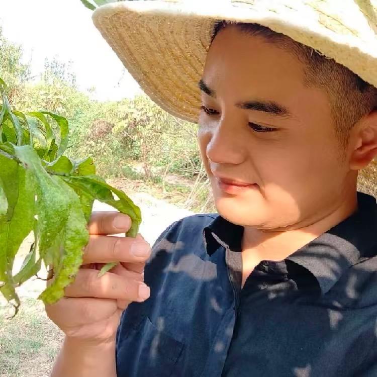 左佑说农资