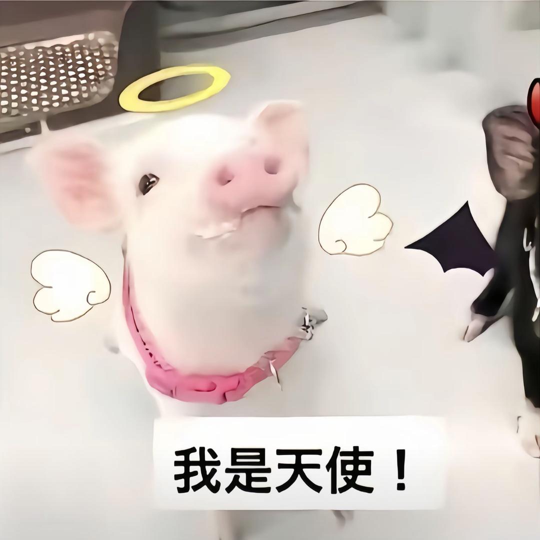 早上起来困的我达斯俩头猪妞