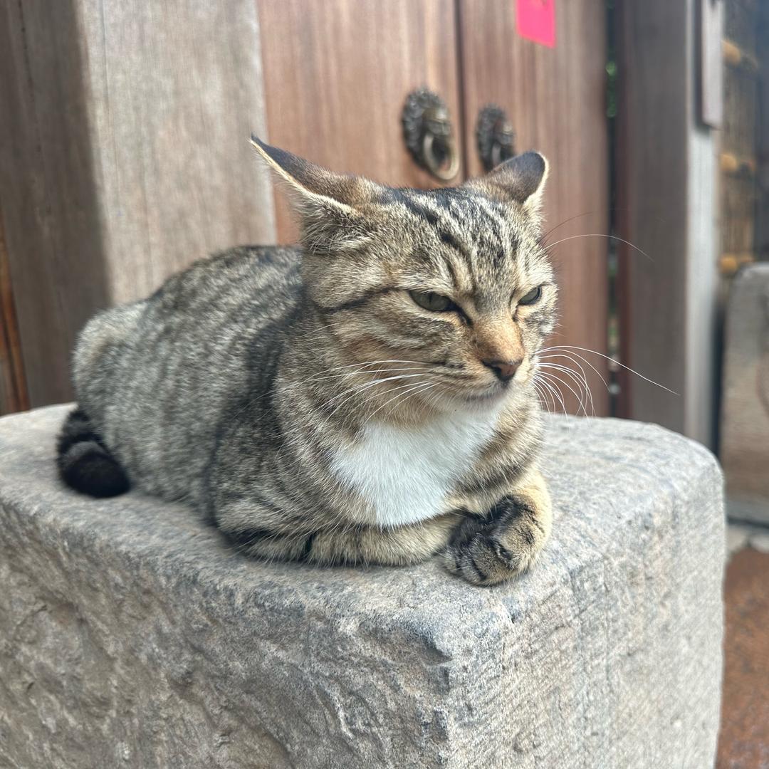 爱谁谁.